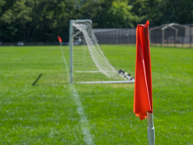 日本球员久 日本球员久