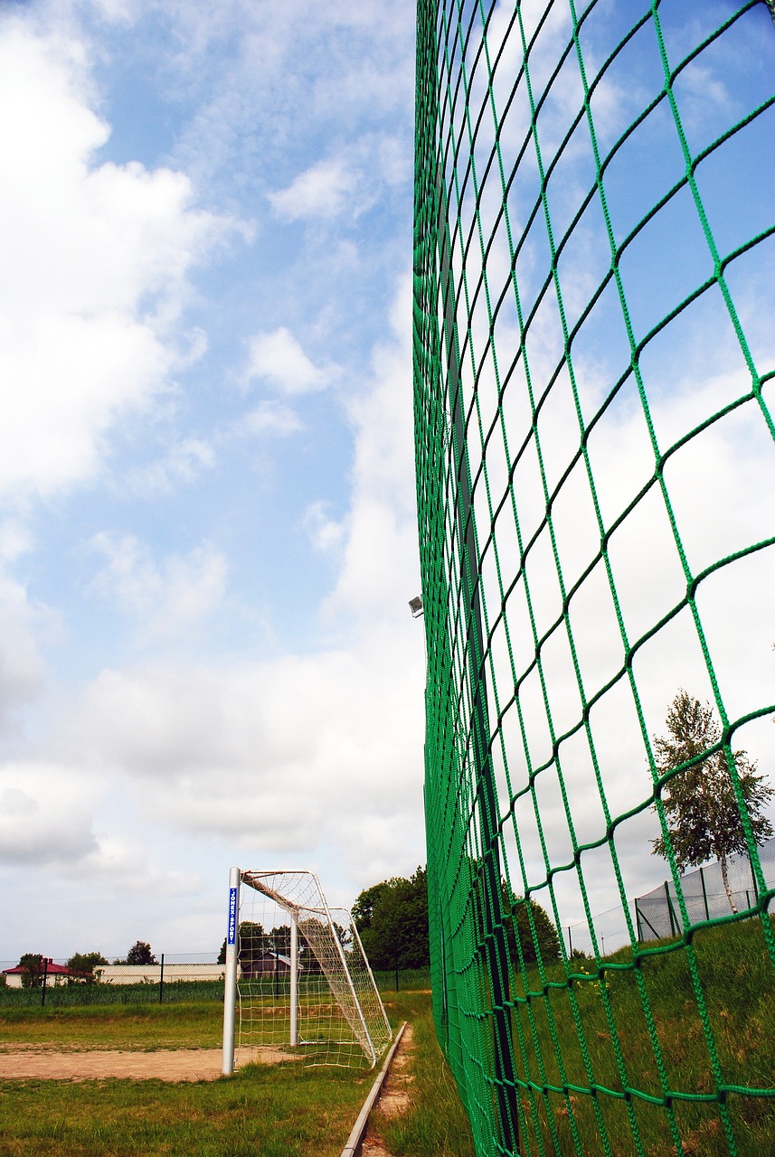 期训练的成 期训练的成