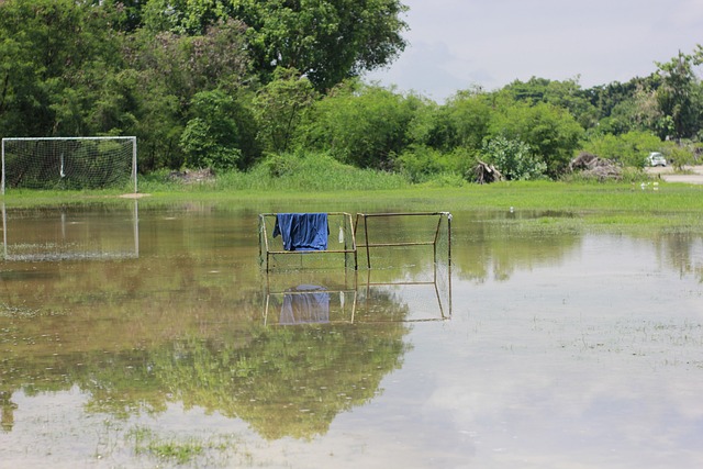 保罗在这里最大牌，但是显得最像个小孩.