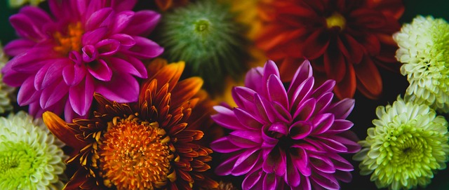 赢得了那个 赢得了那个