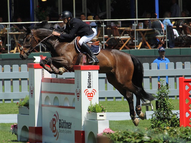 NBA新星爱德华兹卷入私生子官司，仍得正牌女友全力支持.