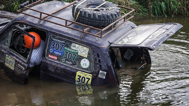 多网球爱好 多网球爱好