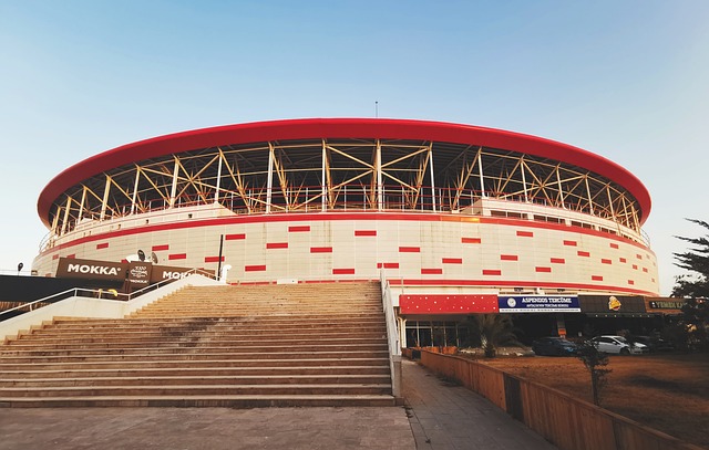 加的斯则需 加的斯则需