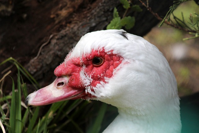 即使在如此 即使在如此