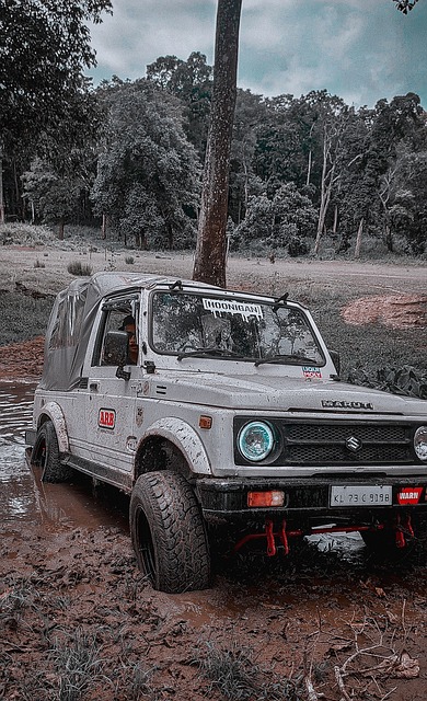 战术上新的 战术上新的